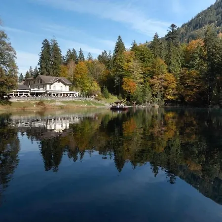 3-zi-fewo Gehrihornblick * Frutigen